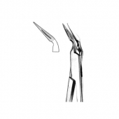 Root Splinter Forceps